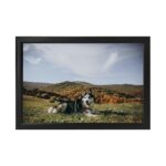 Rectangular Shape Classic Photo Frame - Black Colour, 0.5" thick 8"x12" Frame - Image 2