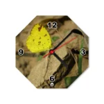 A crisp studio front view of an octagon-shaped upahar18 Table clock printed with a high-definition custom photo of a butterfly, isolated on a solid white background.