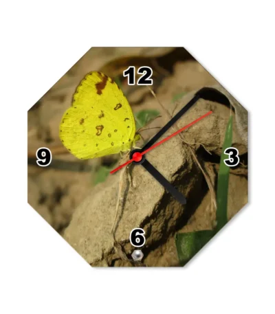 A crisp studio front view of an octagon-shaped upahar18 Table clock printed with a high-definition custom photo of a butterfly, isolated on a solid white background.