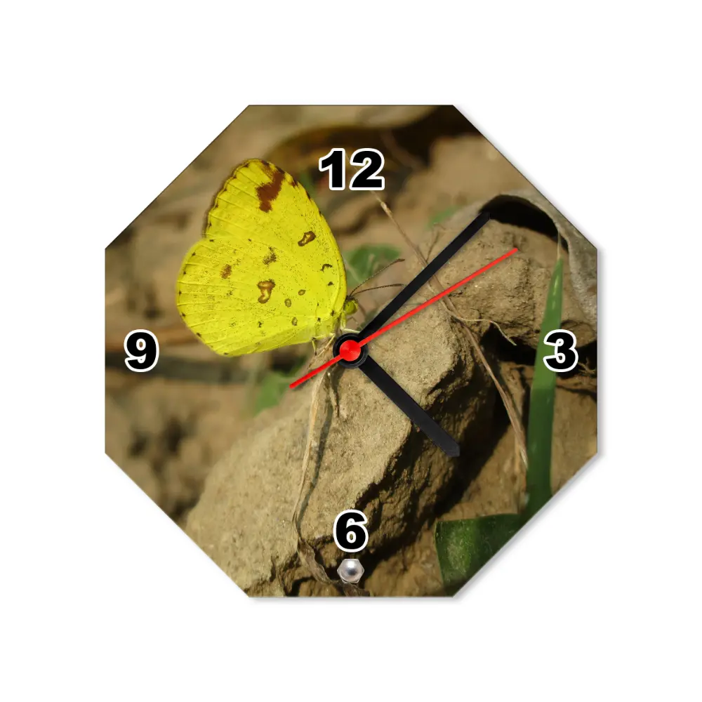 A crisp studio front view of an octagon-shaped upahar18 Table clock printed with a high-definition custom photo of a butterfly, isolated on a solid white background.